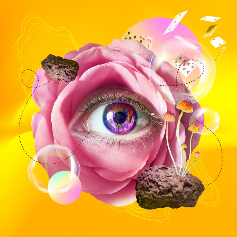 ¡Podrán ingresar gratis a Maloka!