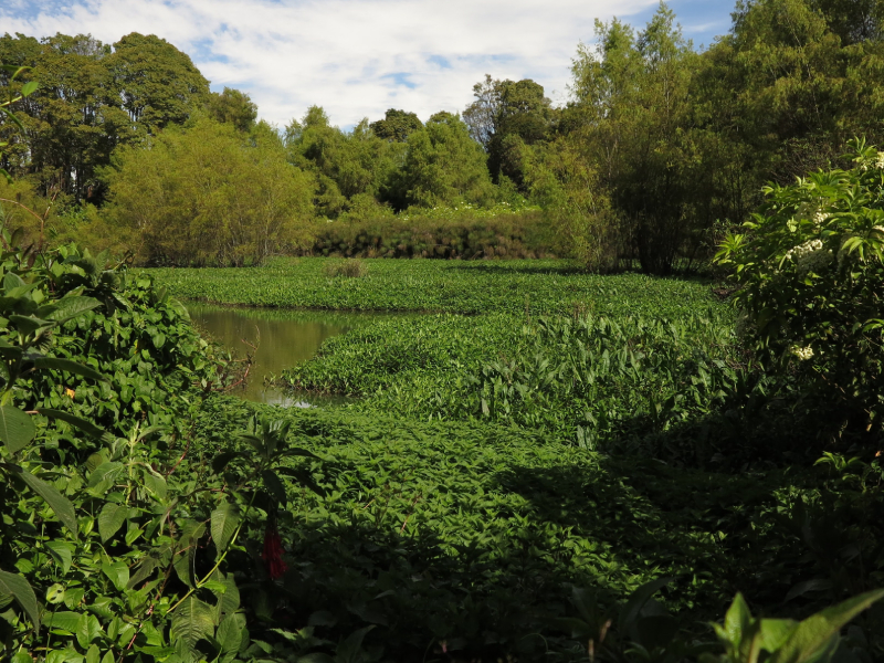2 de febrero, Día Mundial de los Humedales. 